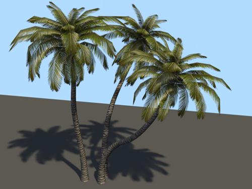 3 Palm Trees (Low Poly + LoD) preview image
